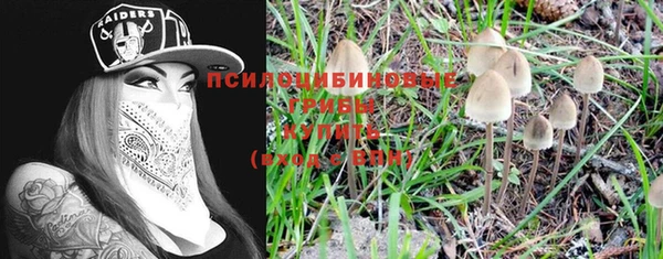 mix Переславль-Залесский