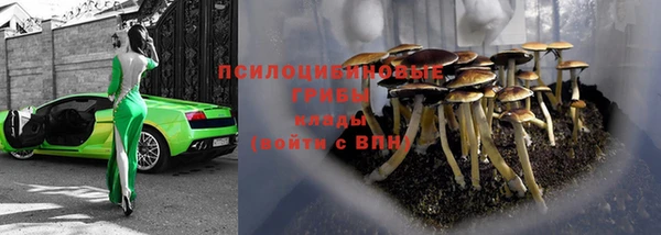 каннабис Осташков