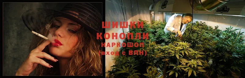 дарк нет официальный сайт  купить   Отрадное  МАРИХУАНА LSD WEED 